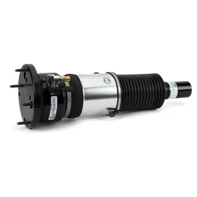 Amortecedor dianteiro AS3309 Arnott