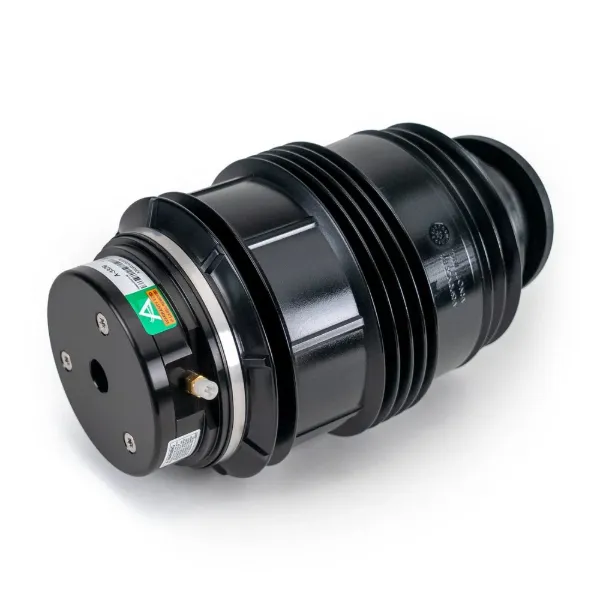 Coxim pneumático (suspensão de lâminas pneumática) do eixo traseiro A3329 Arnott