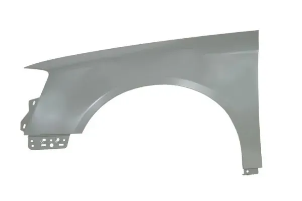 Pára-lama dianteiro esquerdo Volkswagen Passat B6