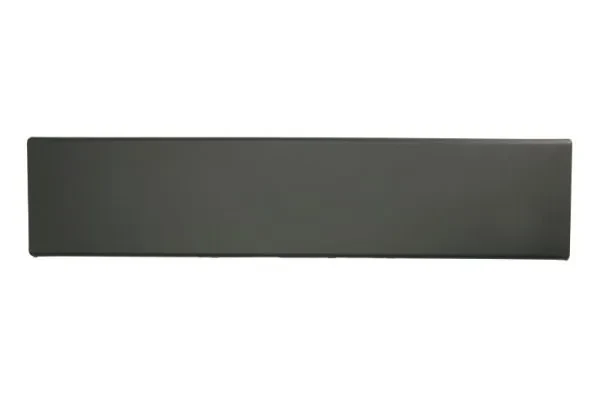 Moldura da porta traseira esquerda para Fiat Ducato (250)