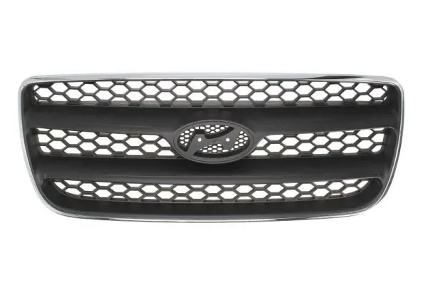 Grelha do radiador Hyundai Santa Fe II