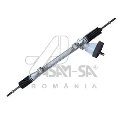 30456 Asam