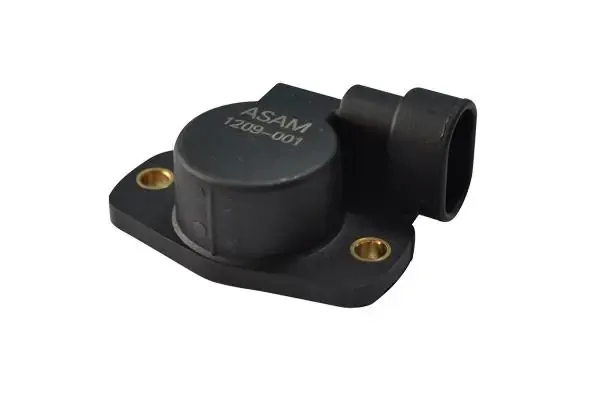 Sensor de posição da válvula de borboleta (potenciômetro) 30813 Asam