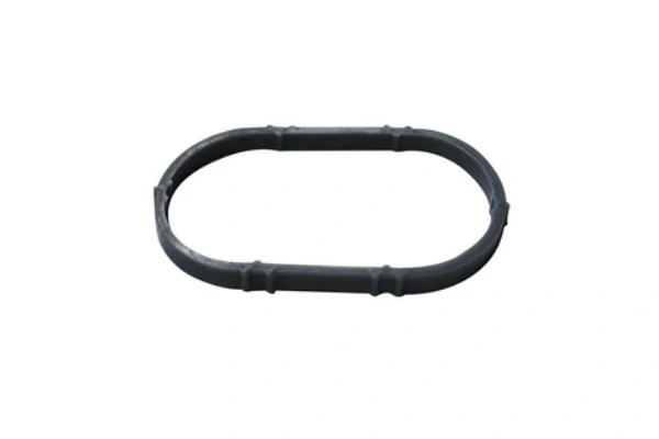 Vedante de tubo coletor de admissão para Renault Megane (BA0)