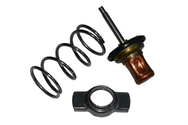 Caixa do termostato 32064 Asam