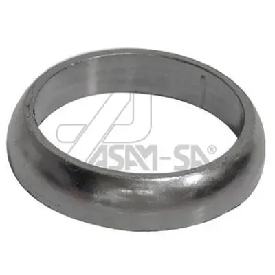 Anel de tubo de admissão do silenciador 30599 Asam
