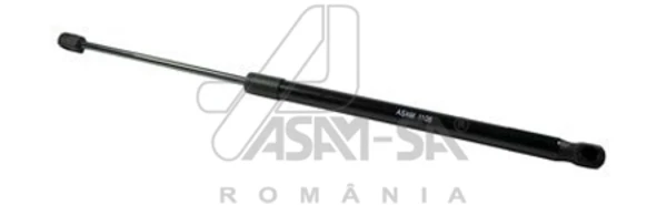 30467 Asam