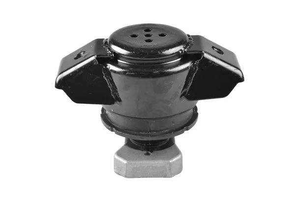 Coxim (suporte) traseiro de motor 00725583 Ted-gum