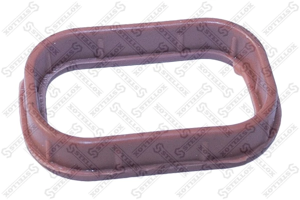 Vedante de tubo coletor de admissão para Fiat Ducato (250)