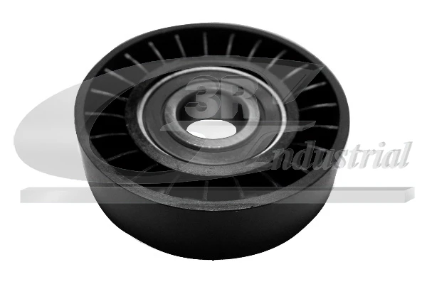 13909 3RG rolo parasita da correia de transmissão