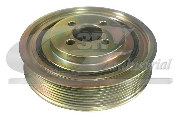 Polia de cambota 10909 3RG