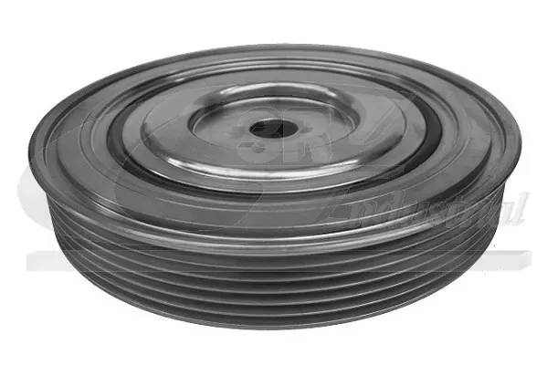 Polia de cambota 10222 3RG