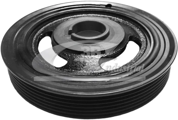 Polia de cambota 10245 3RG
