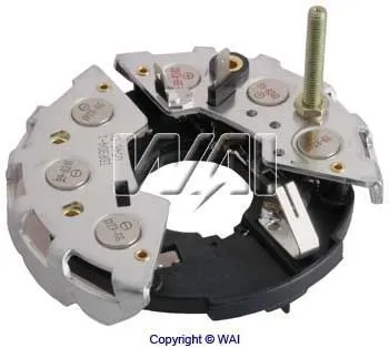 IBR304 WAI