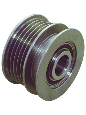 Polia do gerador 2491298 WAI