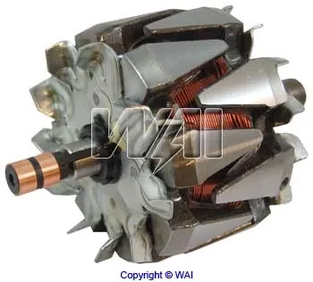 Induzido (rotor) do gerador 330113 Cargo