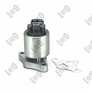 Válvula EGR de recirculação dos gases 555019A ERA Benelux