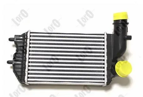 Radiador de intercooler Citroen Jumper 244