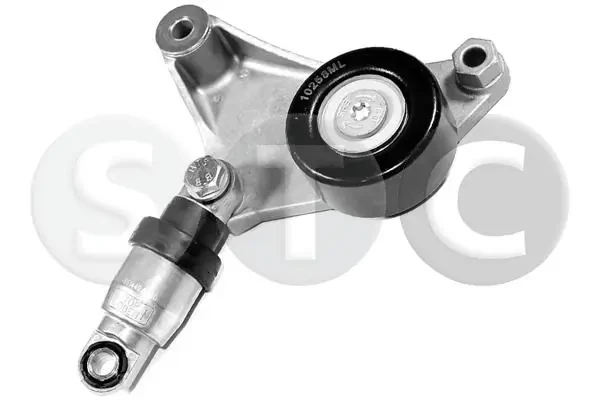 T448695 STC
