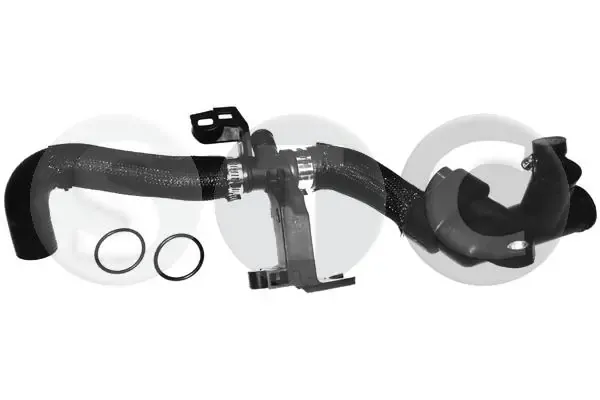 Mangueira (cano derivado) do sistema de esfriamento MINI Cooper R56