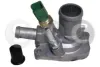 Termostato Fiat 500 312