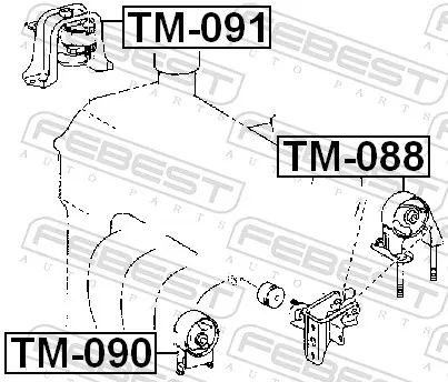 TM091 Febest