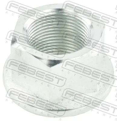 Porca de cubo traseiro 0298NHUB01 Febest