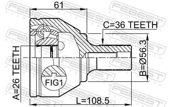 Junta homocinética externa dianteira Ford Focus 2