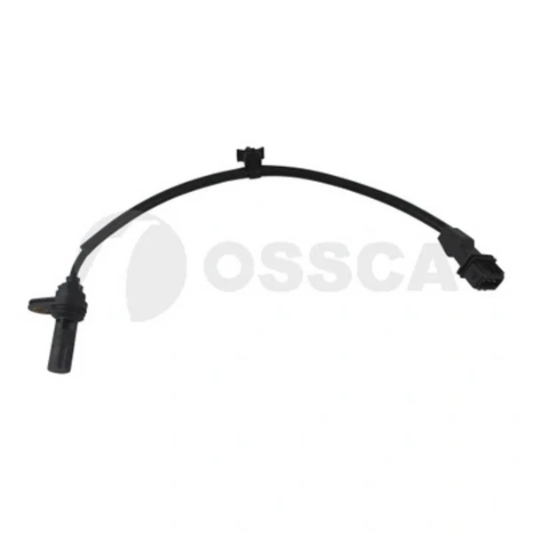 21239 Ossca