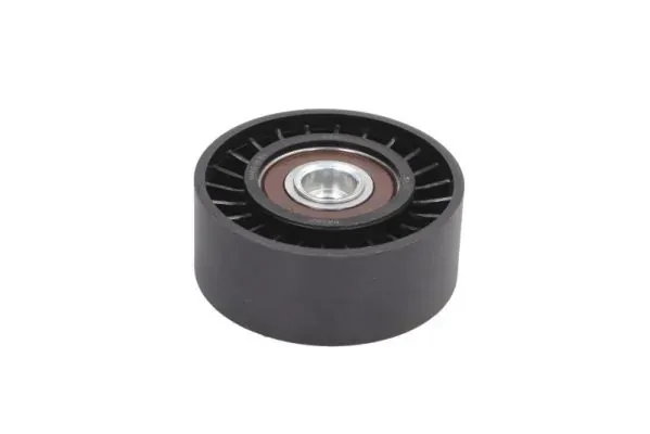 Rolo parasita da correia de transmissão E2Y0007BTA BTA