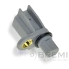 51038 Bremi