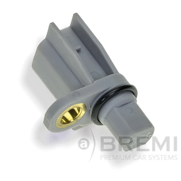51038 Bremi