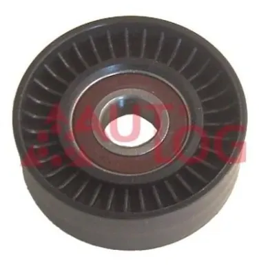 Rolo de reguladora de tensão da correia de transmissão para Audi A3 (8L1)