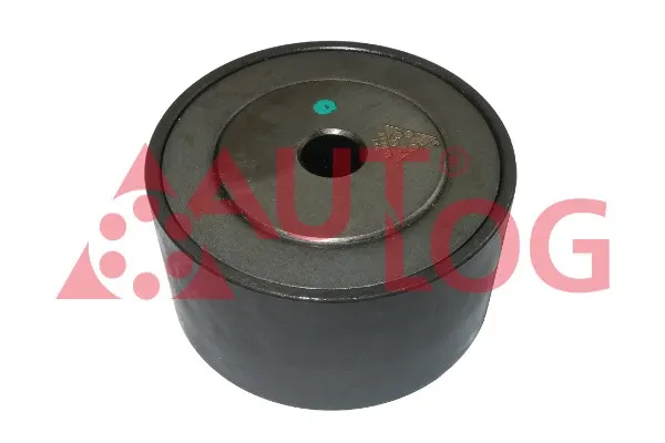  Rolo parasita da correia de transmissão Peugeot 307 