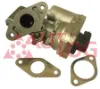 Válvula EGR de recirculação dos gases Fiat Ducato 3 250
