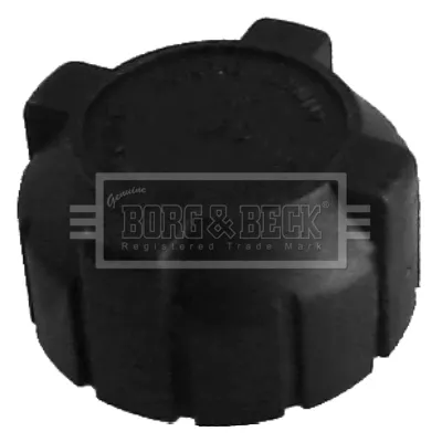 Compre Tampa (tampão) do tanque de expansão Fiat Ducato II 230L