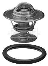 Termostato 7439180811 Renault (RVI)