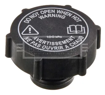 Tampa (tampão) do tanque de expansão Jaguar X-type CF1