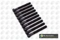 Parafuso de cabeça de motor (CBC) Ford Sierra I