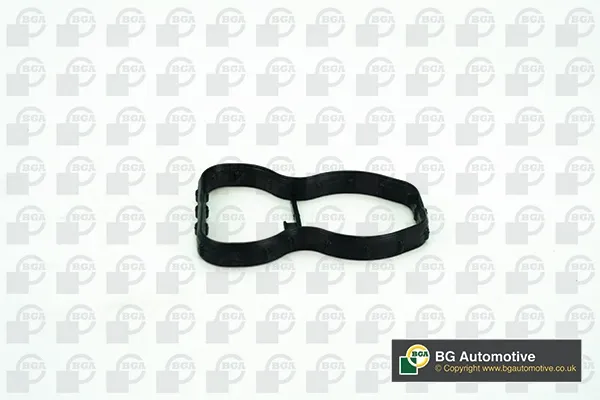 Vedante de tubo coletor de admissão BMW 5 F10