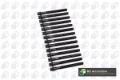 Parafuso de cabeça de motor (CBC) BMW 7 E38