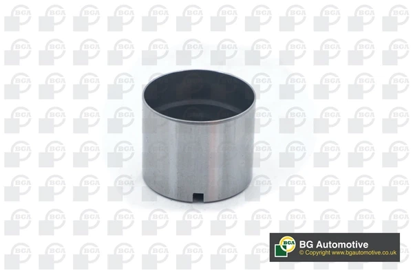 Compensador hidrâulico (empurrador hidrâulico), empurrador de válvulas para Ford Focus (DNW)