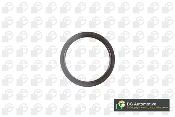 Vedação traseira de cambota de motor Fiat 500 312
