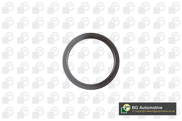 Vedação traseira de cambota de motor para Fiat 500 (312)