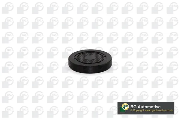  Tampão CBC/do bloco de cilindros Renault Megane 3