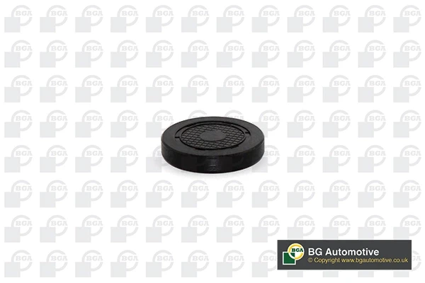 PL4601 BGA