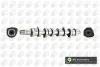 Árvore distribuidora de motor Seat Ibiza 6J1, 6P5