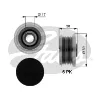 Polia do gerador Fiat Ducato 3 250