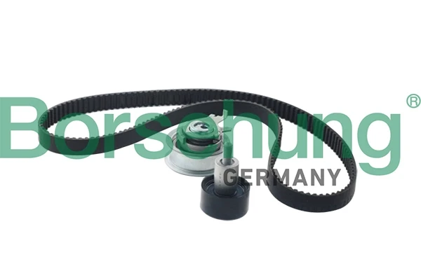 B10210 Borsehung