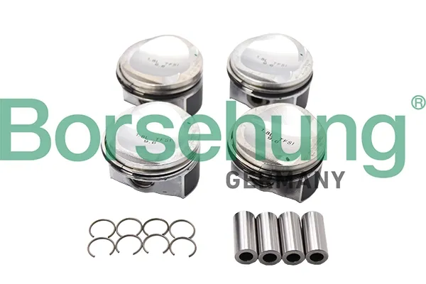 Pistão (kit para um motor), STD B13582 Borsehung